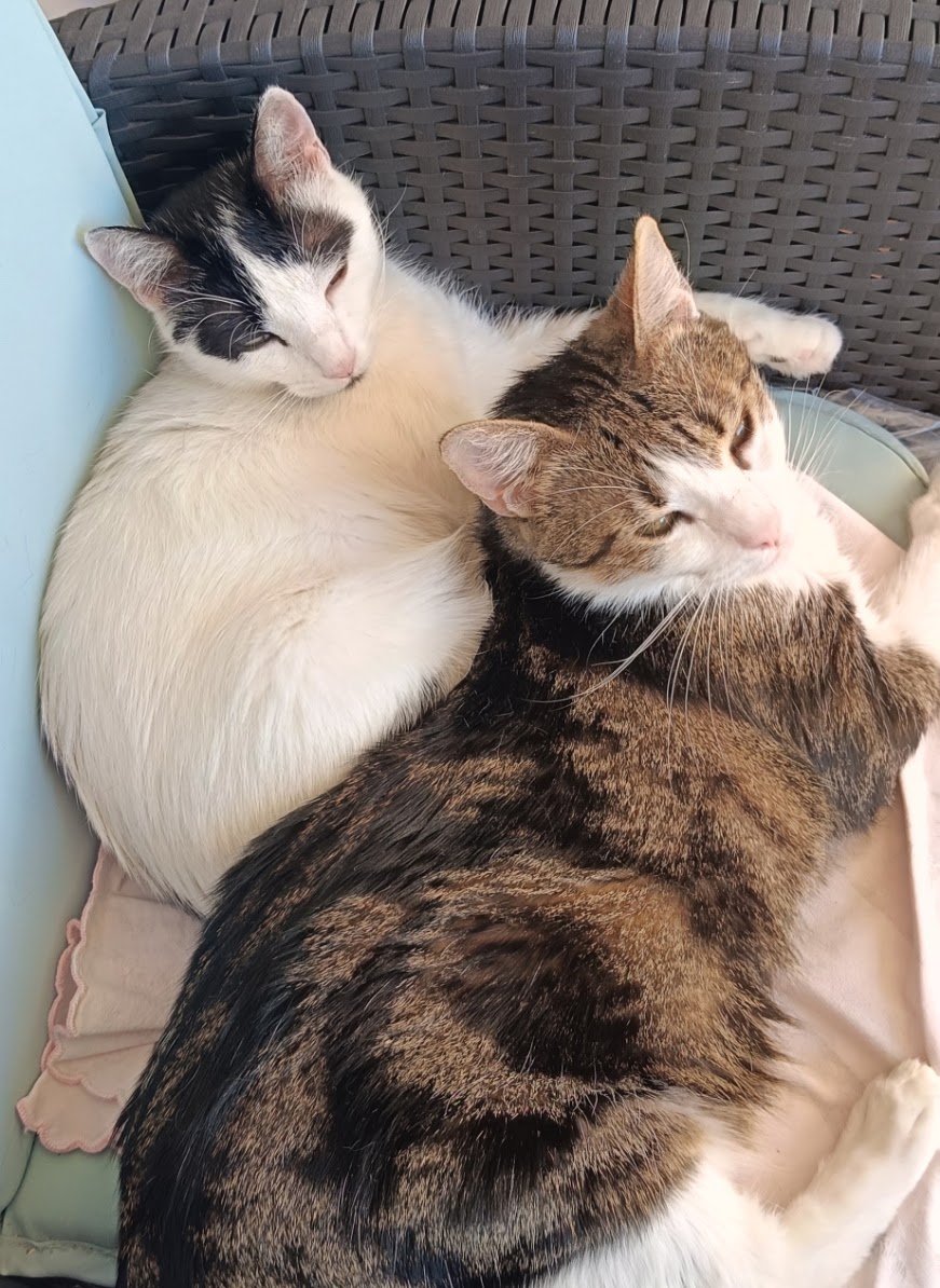 Romeo e Camilla addormentati insieme