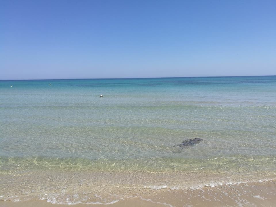 Il mare della Puglia